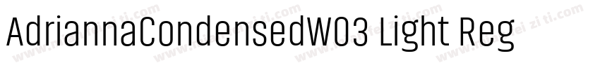 AdriannaCondensedW03 Light Regular字体转换